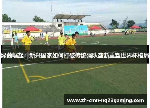 绿茵崛起：新兴国家如何打破传统强队垄断重塑世界杯格局