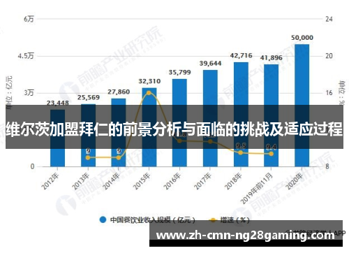维尔茨加盟拜仁的前景分析与面临的挑战及适应过程