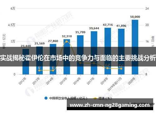 实战揭秘霍伊伦在市场中的竞争力与面临的主要挑战分析