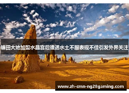 镰田大地加盟水晶宫后遭遇水土不服表现不佳引发外界关注