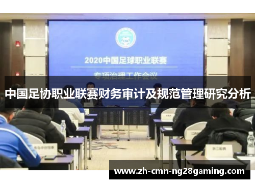 中国足协职业联赛财务审计及规范管理研究分析 中国足协职业联赛财务审计及规范管理研究分析