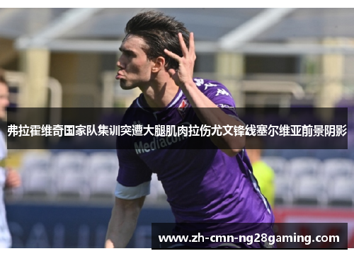 弗拉霍维奇国家队集训突遭大腿肌肉拉伤尤文锋线塞尔维亚前景阴影 弗拉霍维奇国家队集训突遭大腿肌肉拉伤尤文锋线塞尔维亚前景阴影